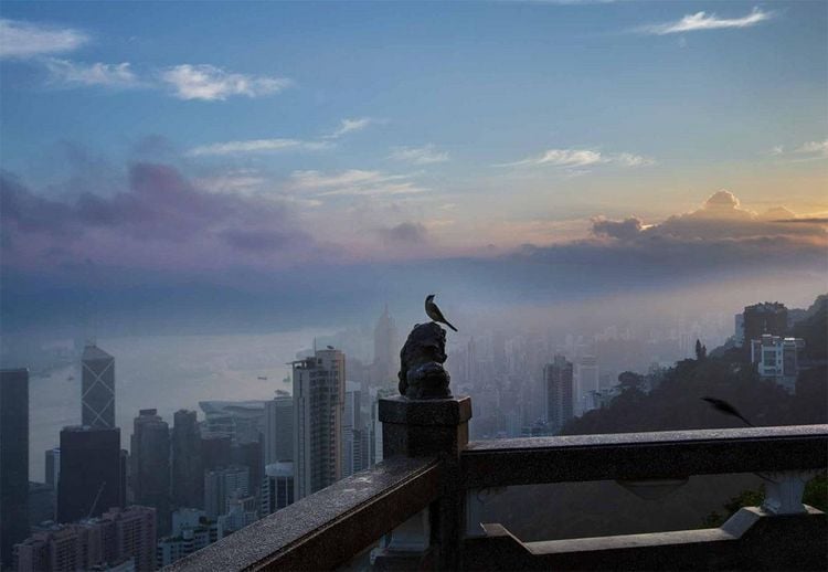 Produktbild: Hongkong