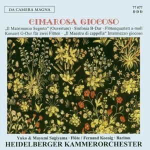 Produktbild: Sinfonia/Konzert F&uuml;r 2 Fl&ouml;ten/Maestro Di Capella/+
