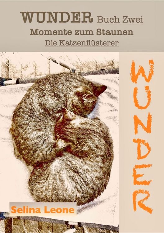 Produktbild: WUNDER / Momente zum Staunen - Buch Zwei / Die Katzenfl&uuml;sterer