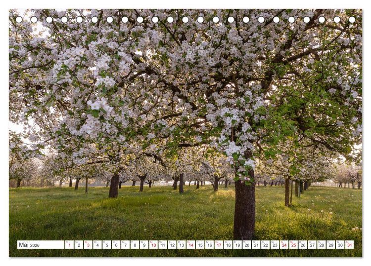 Produktbild: Kanton Thurgau (Tischkalender 2026 DIN A5 quer), CALVENDO Monatskalender