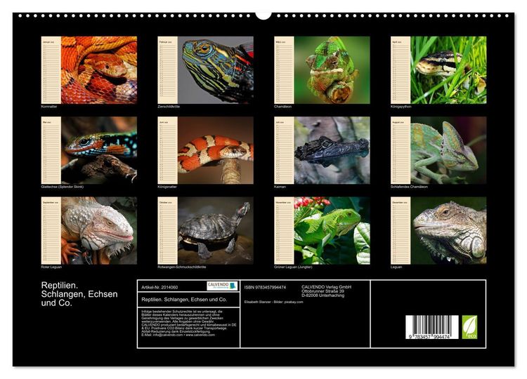 Produktbild: Reptilien. Schlangen, Echsen und Co. (hochwertiger Premium Wandkalender 2026 DIN A2 quer), Kunstdruck in Hochglanz