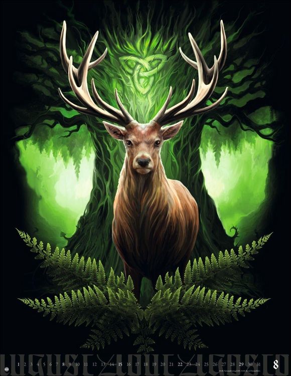 Produktbild: Anne Stokes: Mystic World Posterkalender 2027