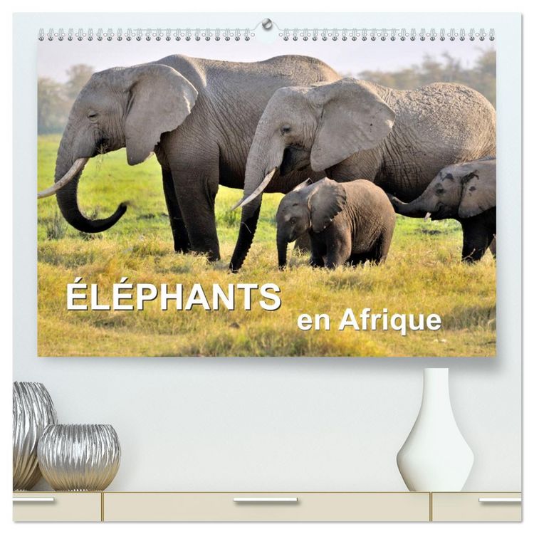 Produktbild: &Eacute;l&eacute;phants en Afrique (Calendrier mural 2026 DIN A2 vertical) calendrier de bureau