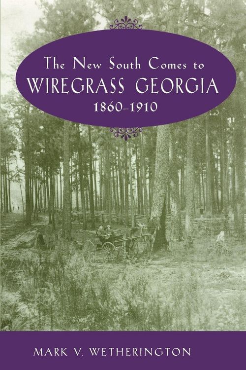 Produktbild: The New South Comes to Wiregrass Georgia, 1860-1910