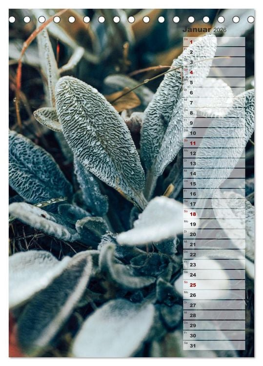 Produktbild: Kalender - Natur im Detail (Tischkalender 2026 DIN A5 hoch), CALVENDO Monatskalender