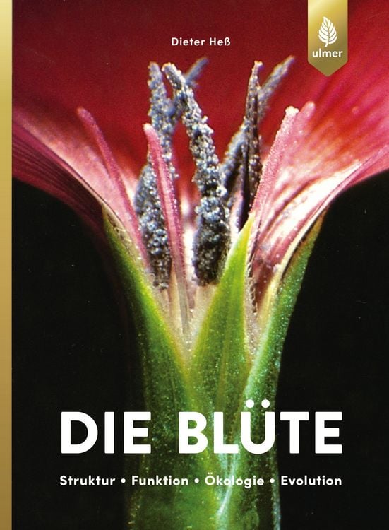 Produktbild: Die Bl&uuml;te