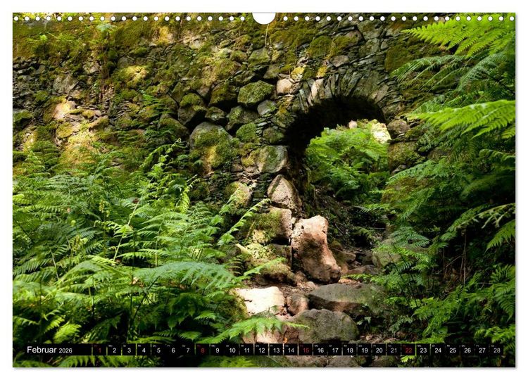 Produktbild: San Miguel de la Palma (Wandkalender 2026 DIN A3 quer), CALVENDO Monatskalender