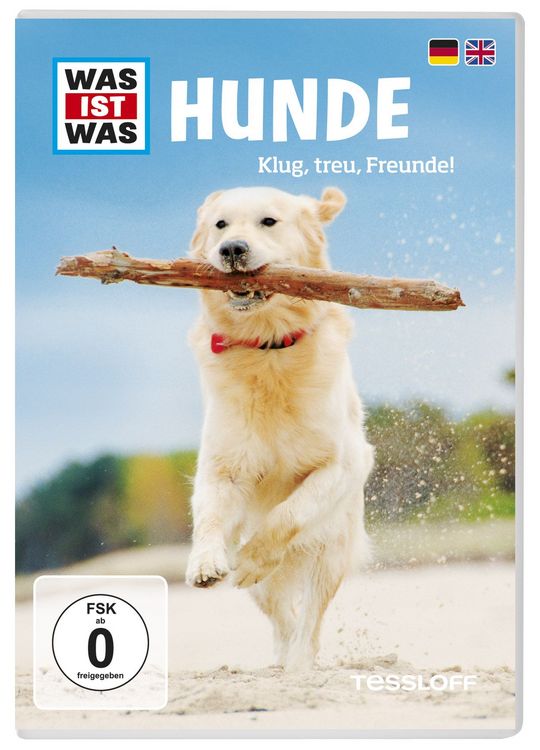 Produktbild: Was ist Was - Hunde - Klug, treu, Freunde!
