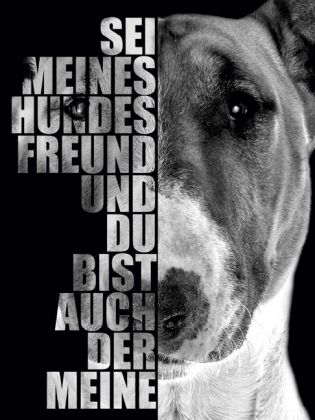 Produktbild: CALVENDO Puzzle Bullterrier 1000 Teile Puzzle hoch | 1000 Teile Lege-Gr&ouml;&szlig;e 64 &times; 48 cm Foto-Puzzle f&uuml;r gl&uuml;ckliche Stunden
