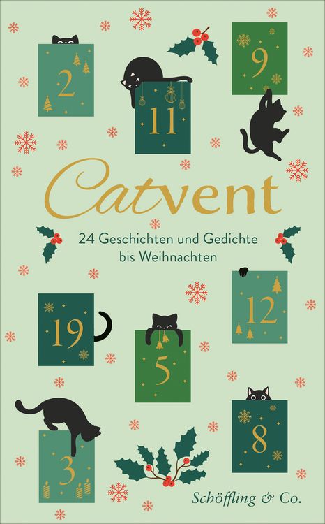 Produktbild: Catvent