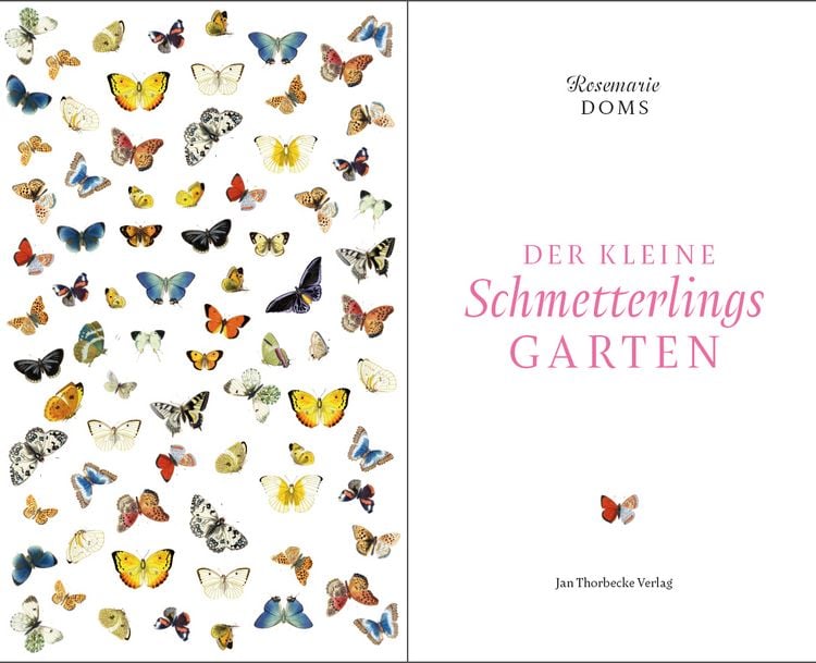 Produktbild: Der kleine Schmetterlingsgarten