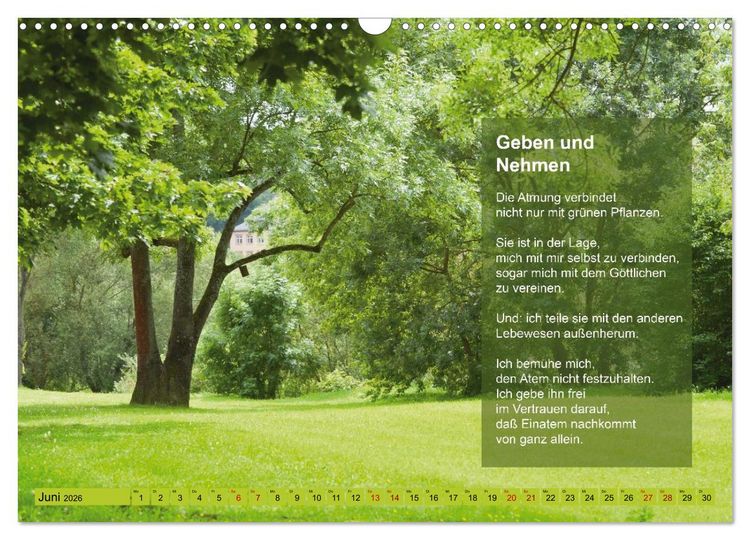 Produktbild: Im Rhythmus der Jahreszeiten und des Kirchenjahres (Wandkalender 2026 DIN A3 quer), CALVENDO Monatskalender
