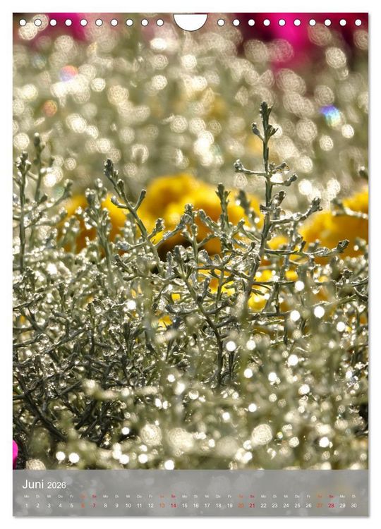 Produktbild: Mit Bokeh-Fotografie durch das Jahr (Wandkalender 2026 DIN A4 hoch), CALVENDO Monatskalender
