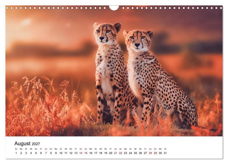 Produktbild: Eleganz und Instinkt - die beeindruckende Welt der Geparden (Wandkalender 2027 DIN A3 quer), CALVENDO Monatskalender