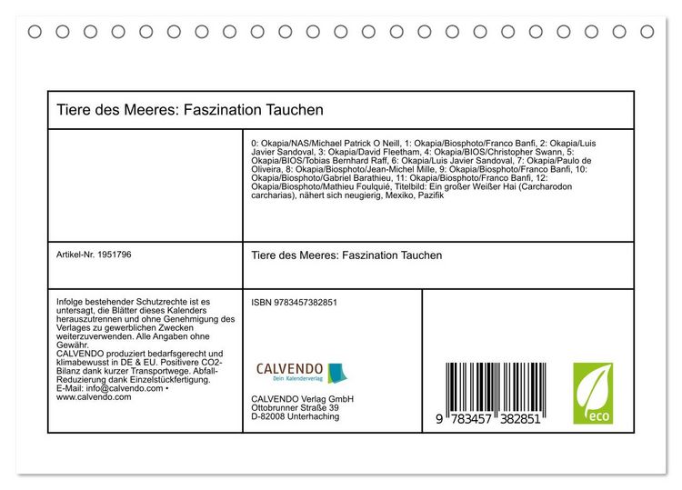 Produktbild: Tiere des Meeres: Faszination Tauchen (Tischkalender 2026 DIN A5 quer), CALVENDO Monatskalender