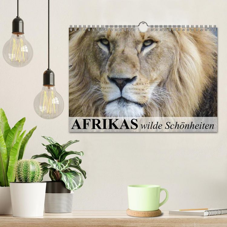 Produktbild: Afrikas wilde Sch&ouml;nheiten (Wandkalender 2026 DIN A4 quer), CALVENDO Monatskalender