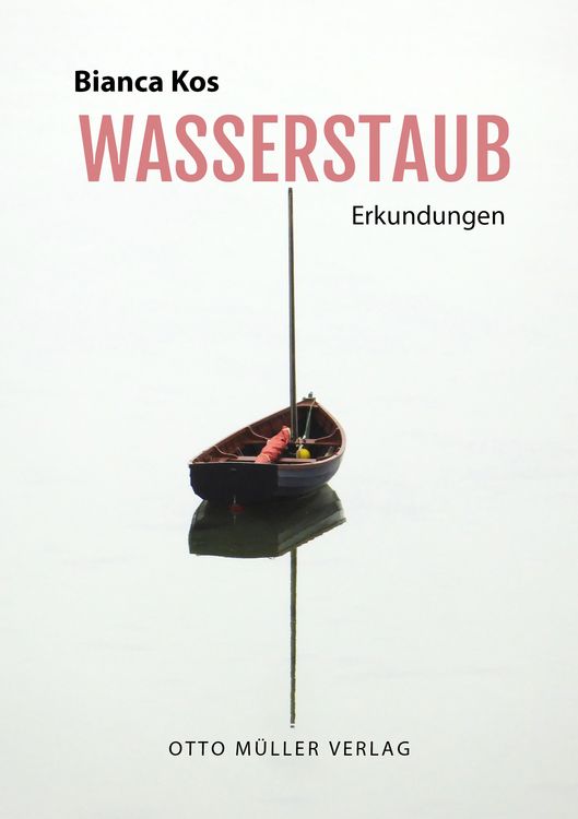 Produktbild: Wasserstaub