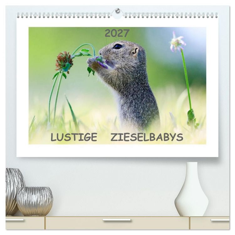 Produktbild: Lustige Zieselbabys (hochwertiger Premium Wandkalender 2027 DIN A2 quer), Kunstdruck in Hochglanz