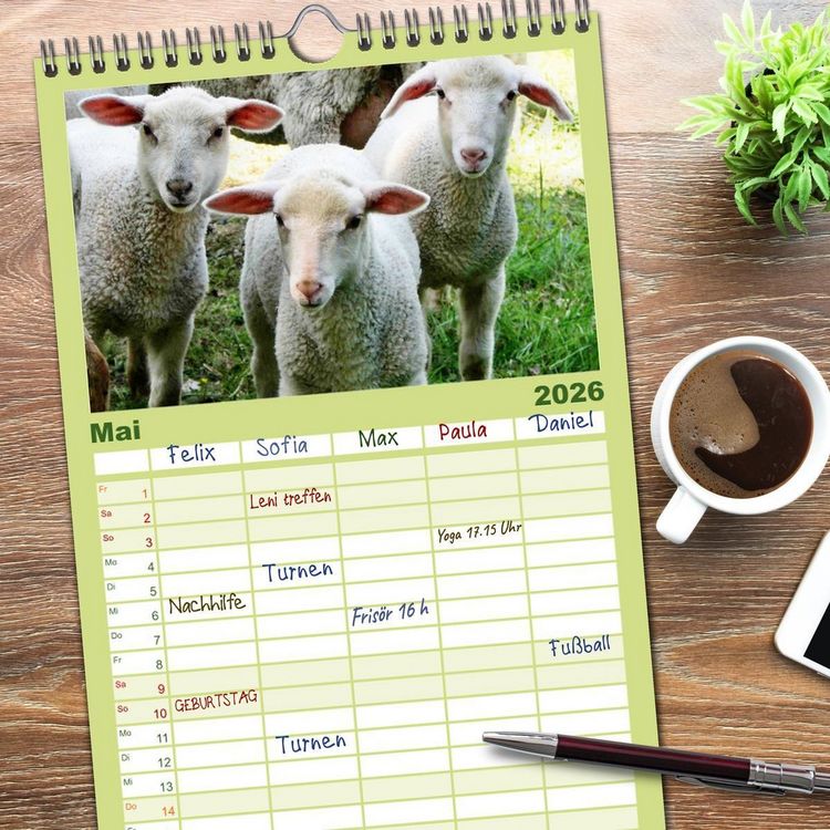 Produktbild: Familienplaner 2026 - Sch&auml;fchen z&auml;hlen - mit Schafen durchs Jahr mit 5 Spalten (Wandkalender, 21 x 45 cm) CALVENDO