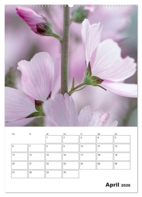 Produktbild: Farbiger Bl&uuml;tentraum (Wandkalender 2026 DIN A2 hoch), CALVENDO Monatskalender