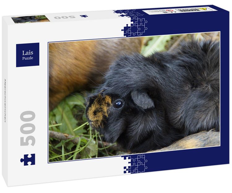 Produktbild: Lais Puzzle Meerschweinchen 500 Teile