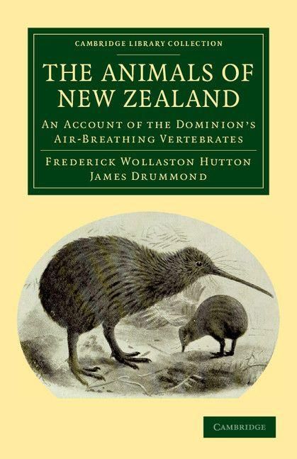 Produktbild: The Animals of New Zealand