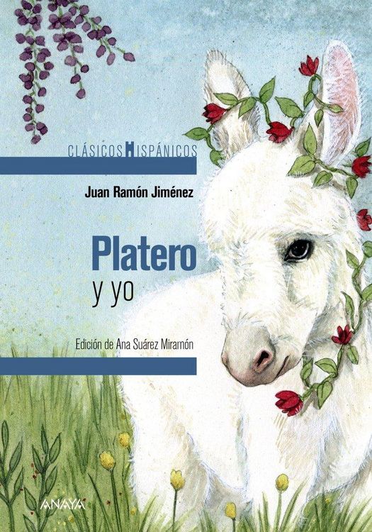 Produktbild: Platero y yo