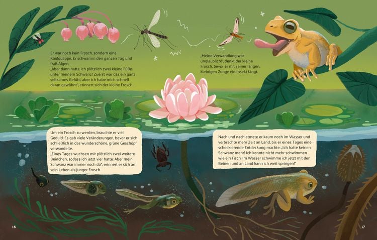 Produktbild: Kleine Geschichten aus der Natur