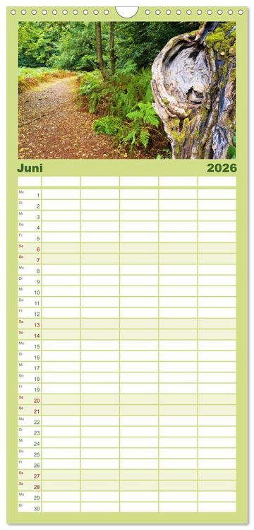 Produktbild: Familienplaner 2026 - Waldd&auml;monen mit 5 Spalten (Wandkalender, 21 x 45 cm) CALVENDO