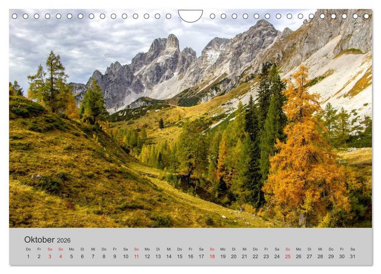 Produktbild: Komm, ich zeige dir den Wald (Wandkalender 2026 DIN A4 quer), CALVENDO Monatskalender