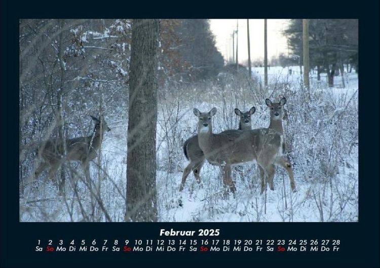 Produktbild: Winterzauber 2025 Fotokalender DIN A4