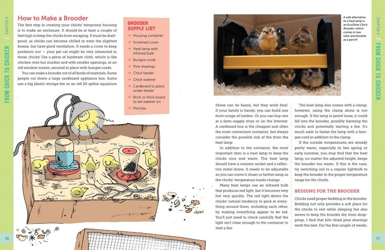Produktbild: A Kid's Guide to Keeping Chickens