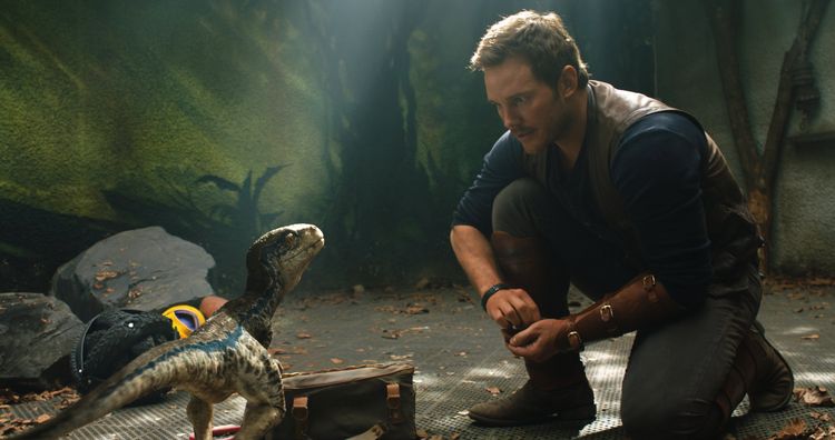Produktbild: Jurassic World: Das gefallene K&ouml;nigreich (+ Blu-ray 2D)