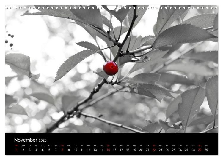 Produktbild: Farbtupfer (Wandkalender 2026 DIN A3 quer), CALVENDO Monatskalender