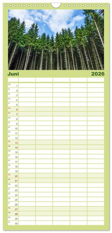 Produktbild: Familienplaner 2026 - Nationalpark Eifel - Sch&ouml;ne Tage im Gr&uuml;nen mit 5 Spalten (Wandkalender, 21 x 45 cm) CALVENDO