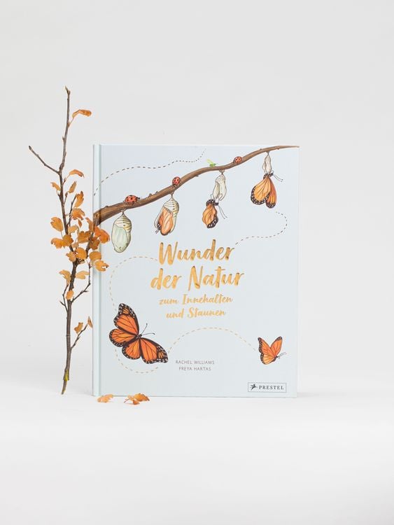 Produktbild: Wunder der Natur zum Innehalten und Staunen