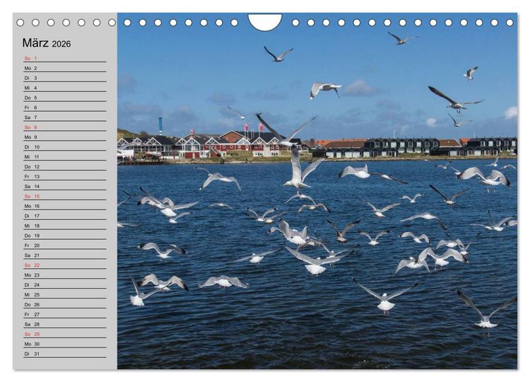 Produktbild: D&auml;nemark - Umgebung von Hvide Sande (Wandkalender 2026 DIN A4 quer), CALVENDO Monatskalender