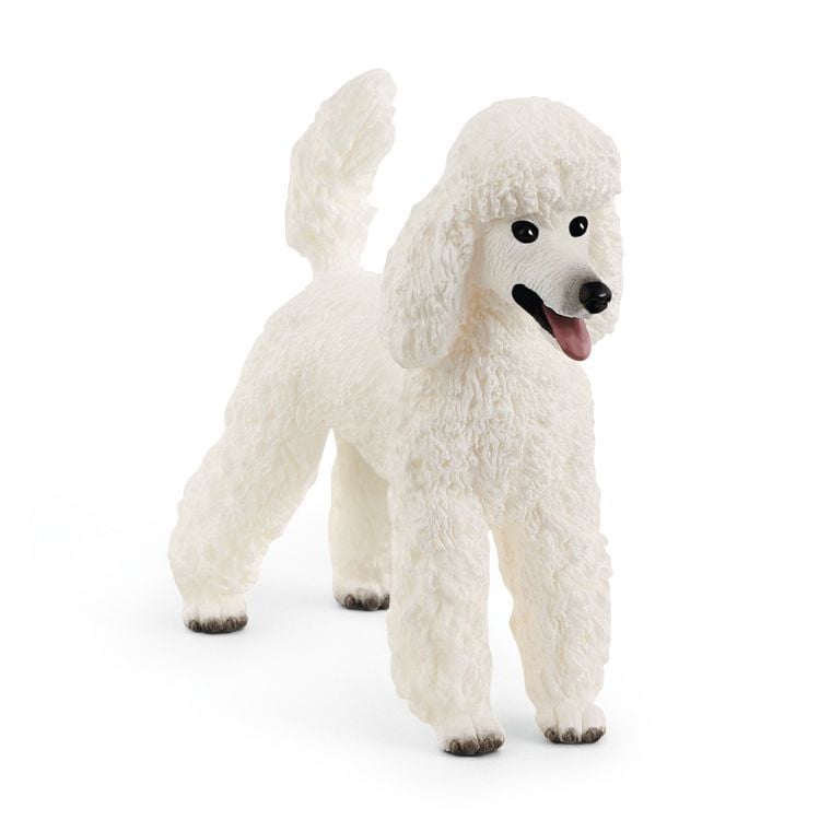 Produktbild: schleich&reg; 13917 Pudel, Hund