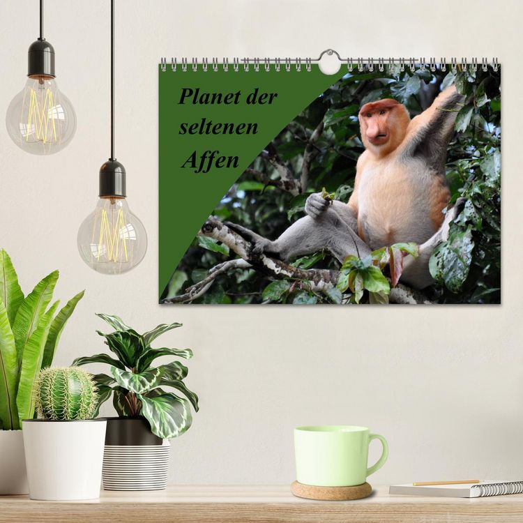 Produktbild: Planet der seltenen Affen (Wandkalender 2026 DIN A4 quer), CALVENDO Monatskalender
