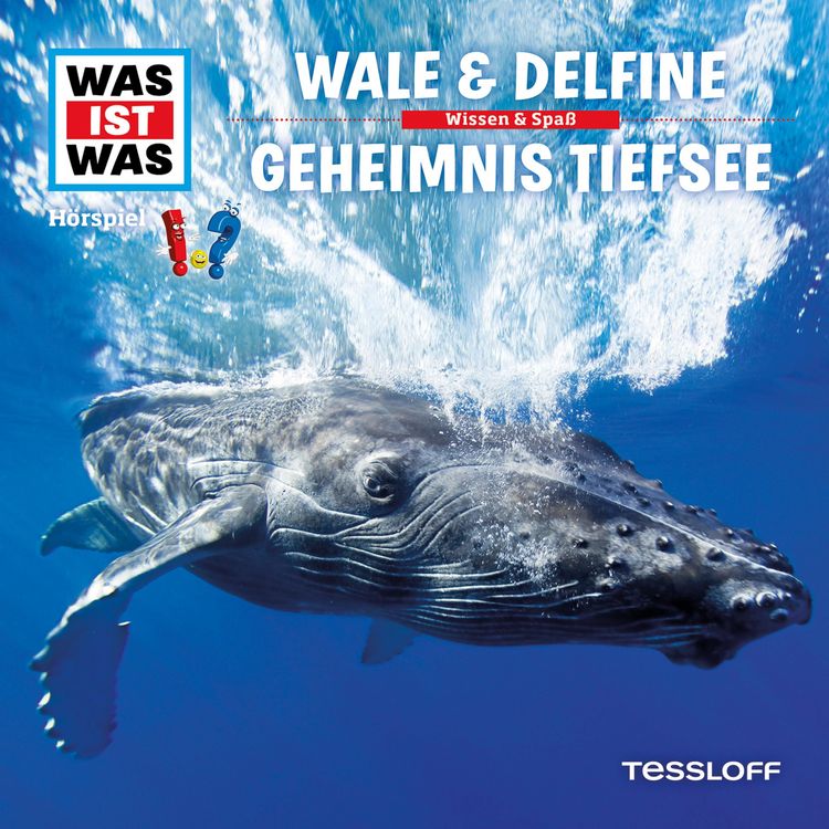 Produktbild: 13: Wale & Delfine / Geheimnis Tiefsee