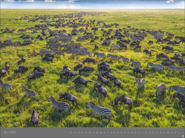 Produktbild: Afrika - Edition Alexander von Humboldt Kalender 2026