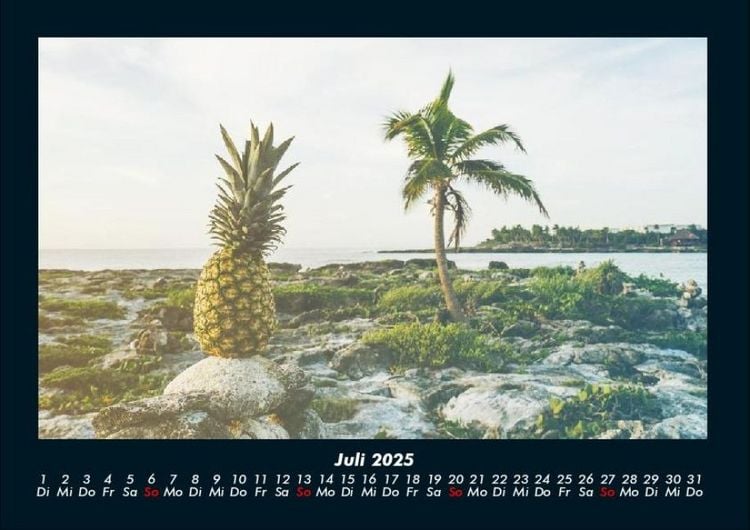 Produktbild: Palmen 2025 Fotokalender DIN A4