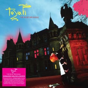 Produktbild: The Blue Meaning (2CD+DVD Digipak Edition)