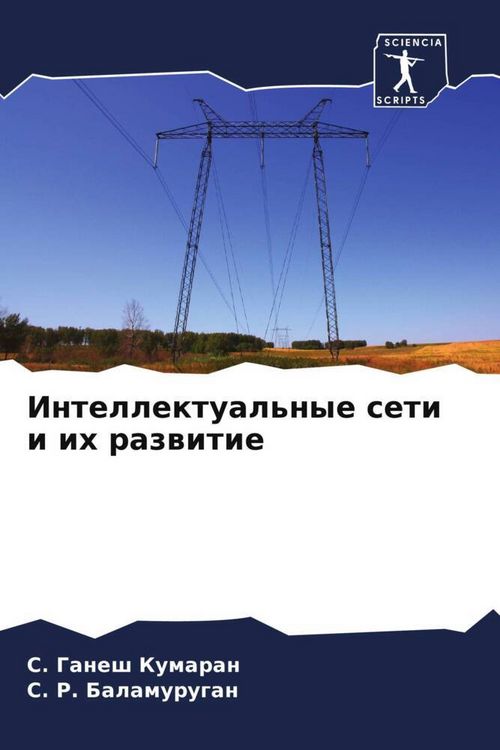 Produktbild: Intellektual'nye seti i ih razwitie