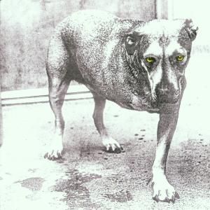Produktbild: Alice In Chains