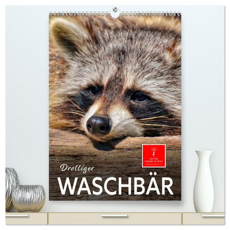 Produktbild: Drolliger Waschb&auml;r (hochwertiger Premium Wandkalender 2026 DIN A2 hoch), Kunstdruck in Hochglanz