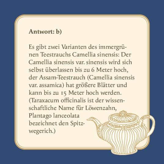 Produktbild: Das Tee-Quiz