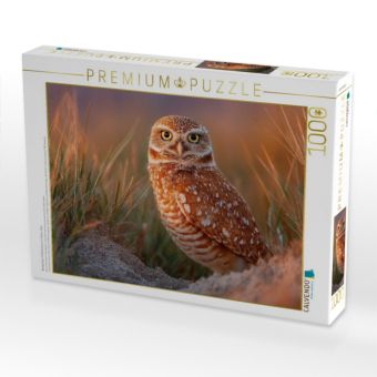 Produktbild: CALVENDO Puzzle Neugieriger H&ouml;hlenkauz im hohen Gras | 1000 Teile Lege-Gr&ouml;&szlig;e 64x48cm Foto-Puzzle f&uuml;r gl&uuml;ckliche Stunden
