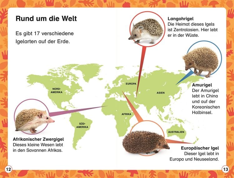 Produktbild: Superleser! Hallo, Igel!
