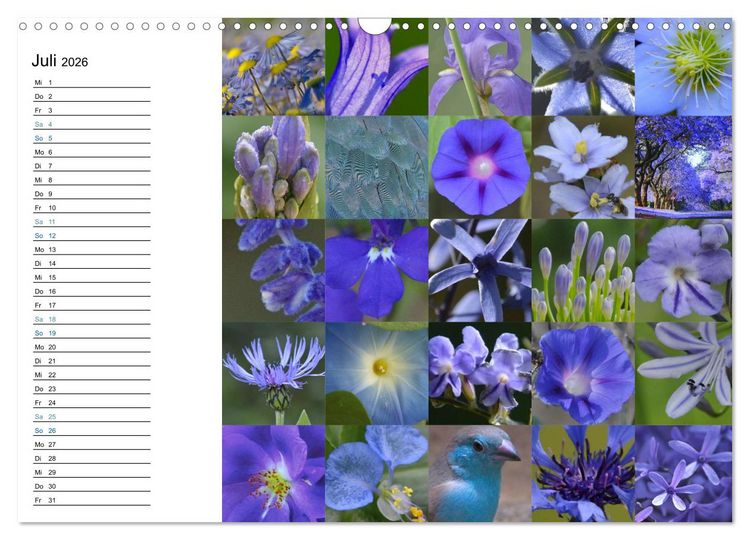 Produktbild: Farbenkaleidoskop (Wandkalender 2026 DIN A3 quer), CALVENDO Monatskalender